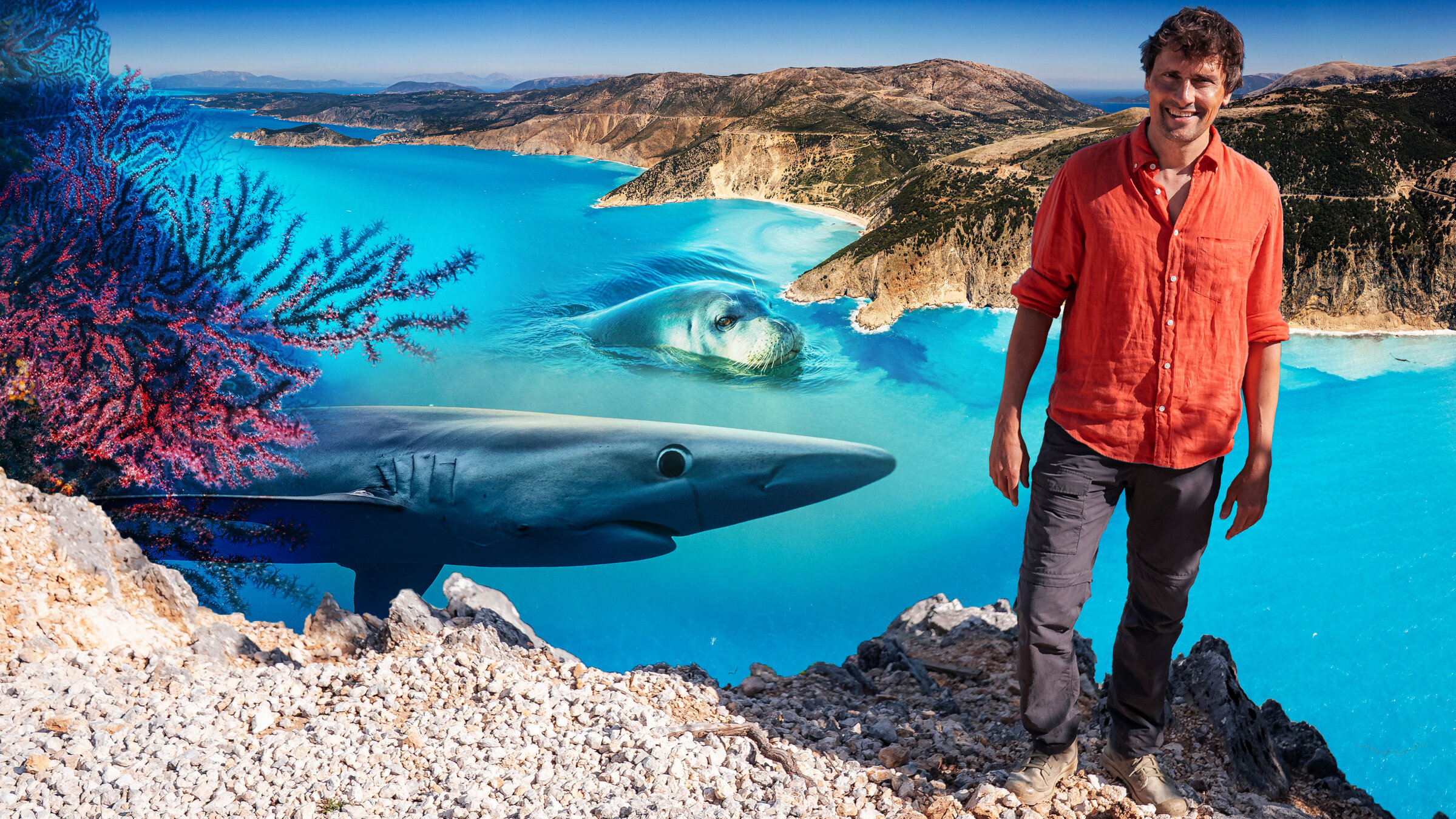 "Terra X: Faszination Wasser: Unser Mittelmeer - Was lebt unter der Oberfläche?": Collage: Uli Kunz steht im Vordergrund. Neben ihm sind ein Hai und eine Robbe auf blauem Untergrund abgebildet. Im Hintergrund ist eine Insel.
