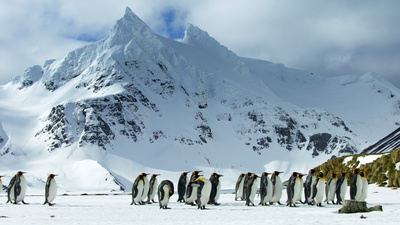 Eisige Welten II: Antarktis