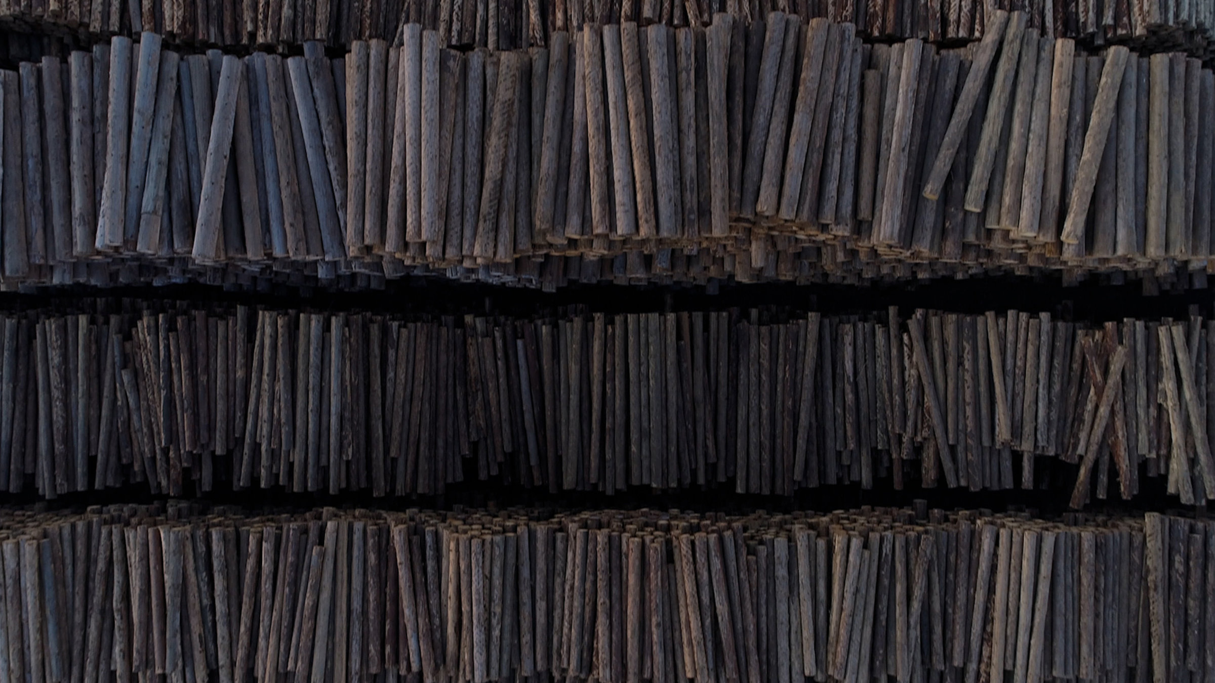 "37° Waldgold - Europas Urwald in Gefahr": Zugesägte Baumstämme von oben, sie liegen gestapelt in einer unbegrenzte Menge.