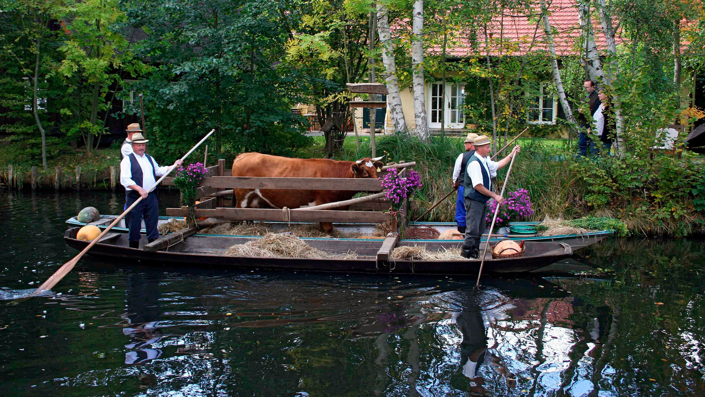"Wildes Deutschland - Der Spreewald": Der Kahnkorso im Herbst ist das größte Fest im Spreewaldort Lehde. Die Kähne sind bunt geschmückt und viele Einwohner tragen die sorbische Festtracht.