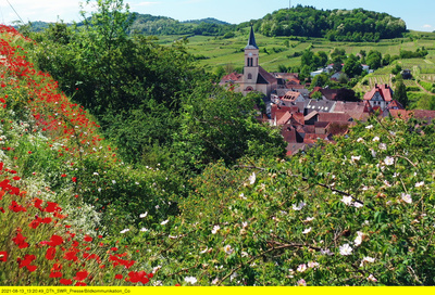 Wildes Deutschland: Der Kaiserstuhl
