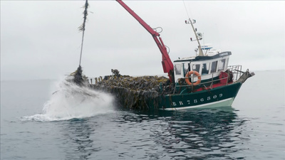 Maritimes Erbe (4/6)