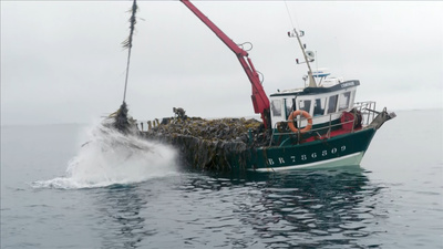 Maritimes Erbe: Die Küste der Bretagne