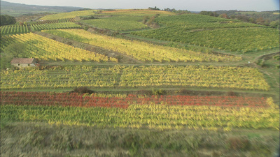 Weinviertel - Weites Land