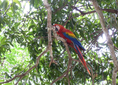 Costa Rica