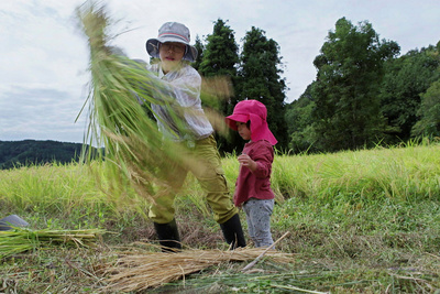 Reisfeld statt Tokio – Japans junge Landfrauen