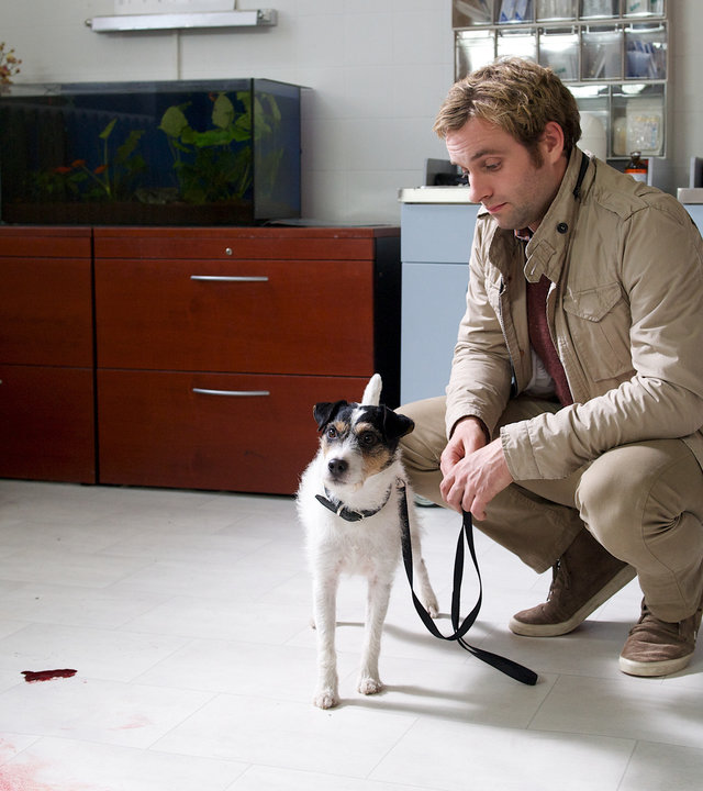 "SOKO Wismar - Stummer Zeuge": Am Tatort, einem Wohnzimmer, hockt Nils Theede (Jonas Laux) mit einem Hund an der Leine. Im Hintergrund sind zwei Kommoden zu sehen sowie ein geöffneter Werkzeugkoffer und Blutflecken auf einem hellen Teppich.