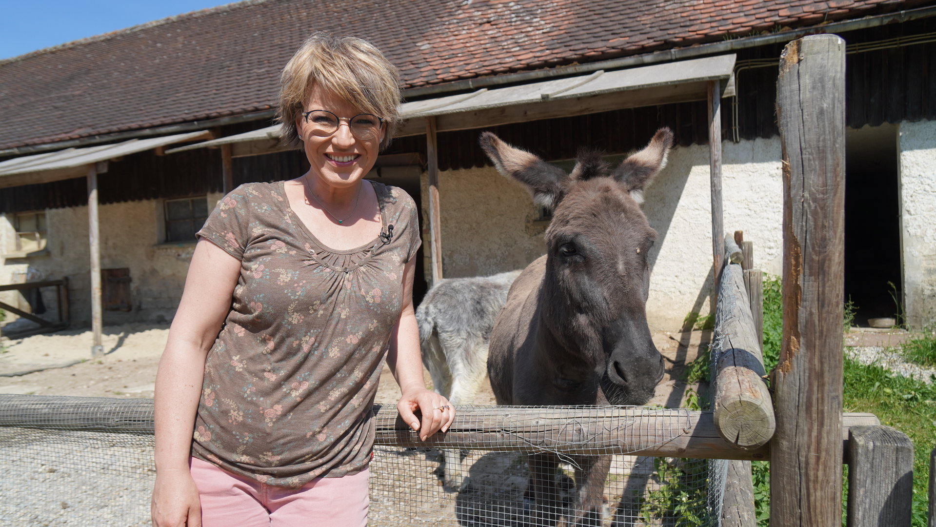 "sonntags - Öko = anders = gut?": Andrea Ballschuh steht vor einem Esel im Gehege. Sie lehnt sich an den Holzzaun und lächelt in die Kamera. Der Esel steht neben ihr hinter dem Gatter und schaut ebenfalls in die Kamera.