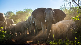 Wildes Südafrika (2/3)