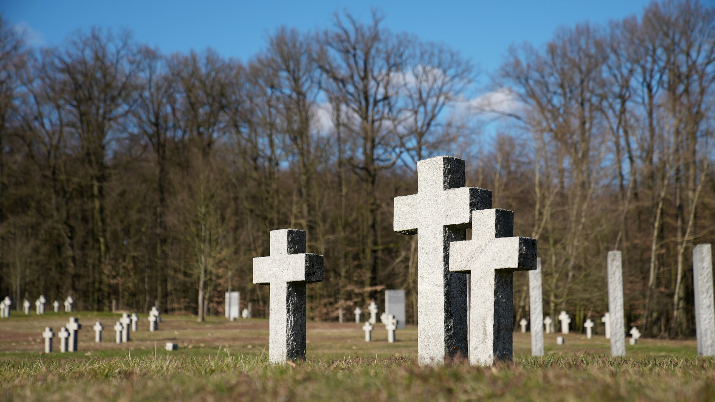 "Verschollen im Zweiten Weltkrieg": Auf der Kriegsgräberstätte Stare Czarnowo bei Stettin liegen mehr als 30.000 deutsche Soldaten.