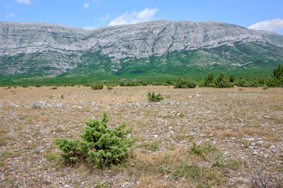 Raue Welten – Wilde Schönheiten: Kroatien