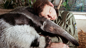 Schönbrunner Tiergeschichten - Leben im Zoo