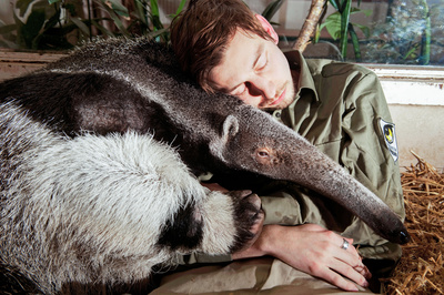 Schönbrunner Tiergeschichten - Leben im Zoo