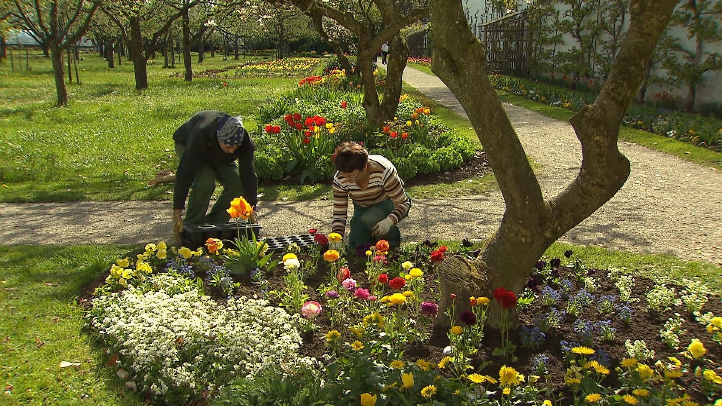 ""Von Pflanzen und ihren Menschen - Gärtnern in Oberbayern": Zierbeete bepflanzen im Hofgarten Dachau.