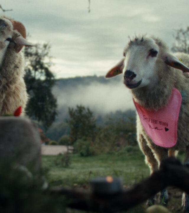 "SHEEP - Käfige": Zwei Schafe, Oliver und Lara, stehen vor einem Baum.