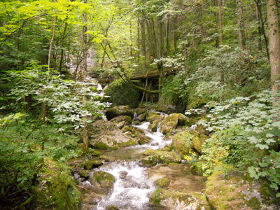 Sommerfrische in den Wiener Alpen