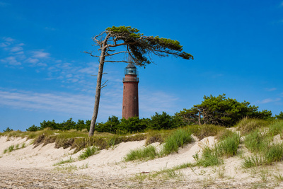Urlaub auf dem Darß