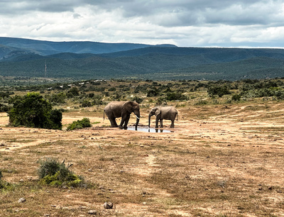 Roadtrip durch Südafrika