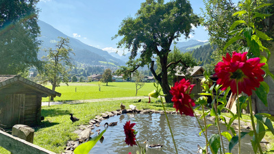 Bergsommer im Kleinarltal