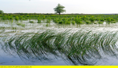 Wasserparadiese in Europa: Das Donaudelta