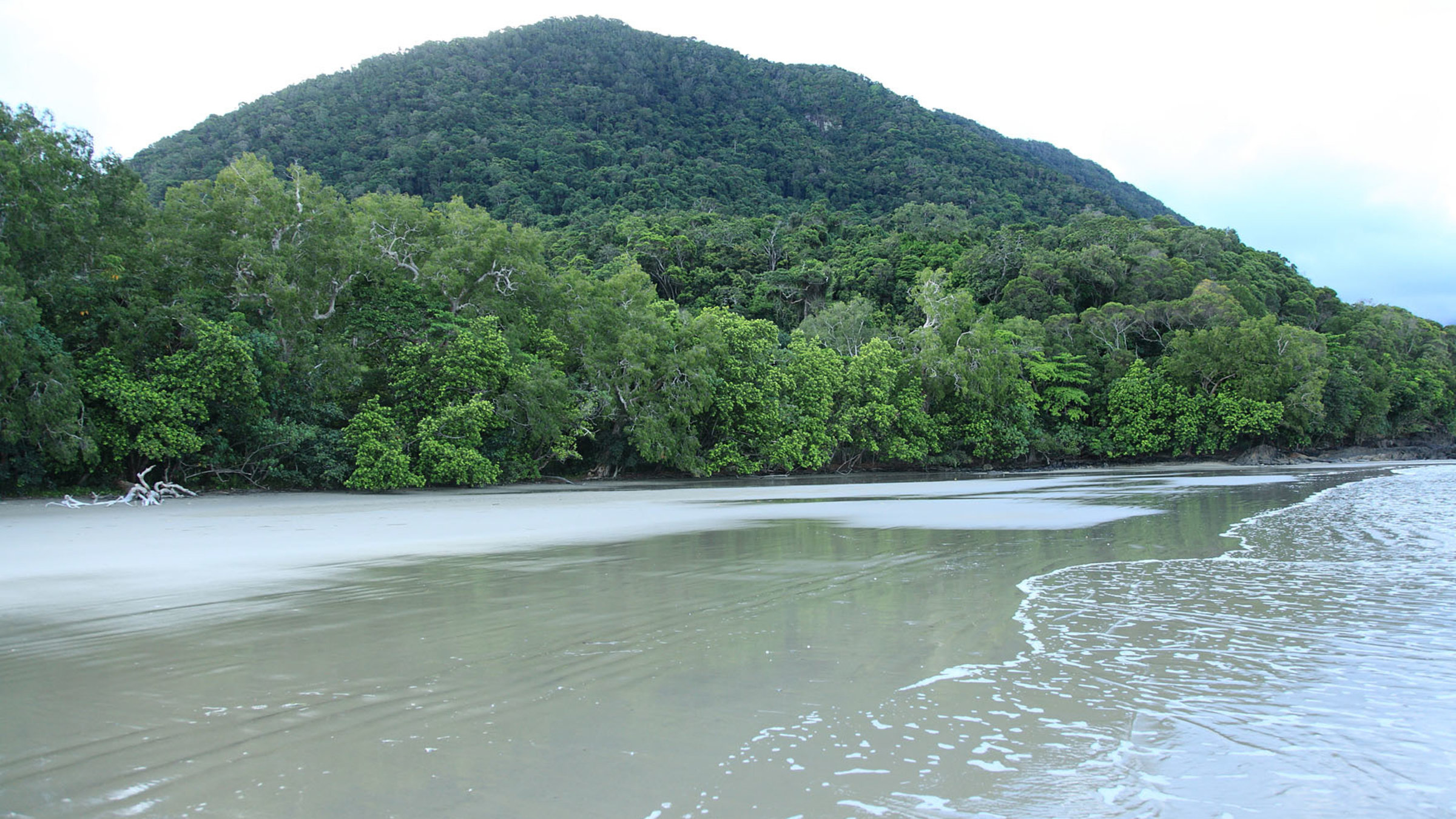 "Australiens Nationalparks: Der Regenwald" - Riff trifft auf den Regenwald