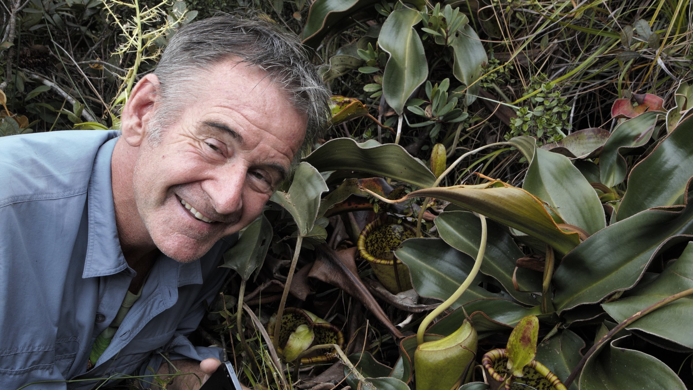 "Die wilden Philippinen: In den Wäldern von Palawan": Nahaufnahme von Nigel Marven, der vor einer tropischen Kannenpflanze steht.