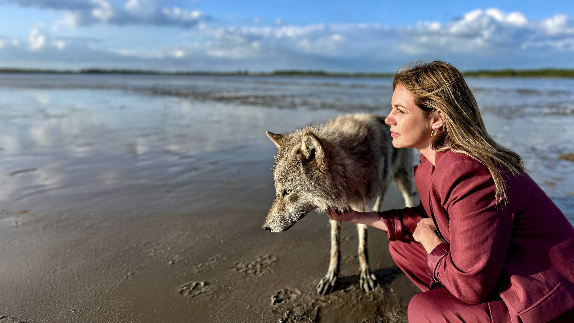 "Neuer Wind im Alten Land - Der Wolf": Beke (Felicitas Woll) sitzt am Elbstrand in der Hocke neben einem Wolf, den sie streichelt.