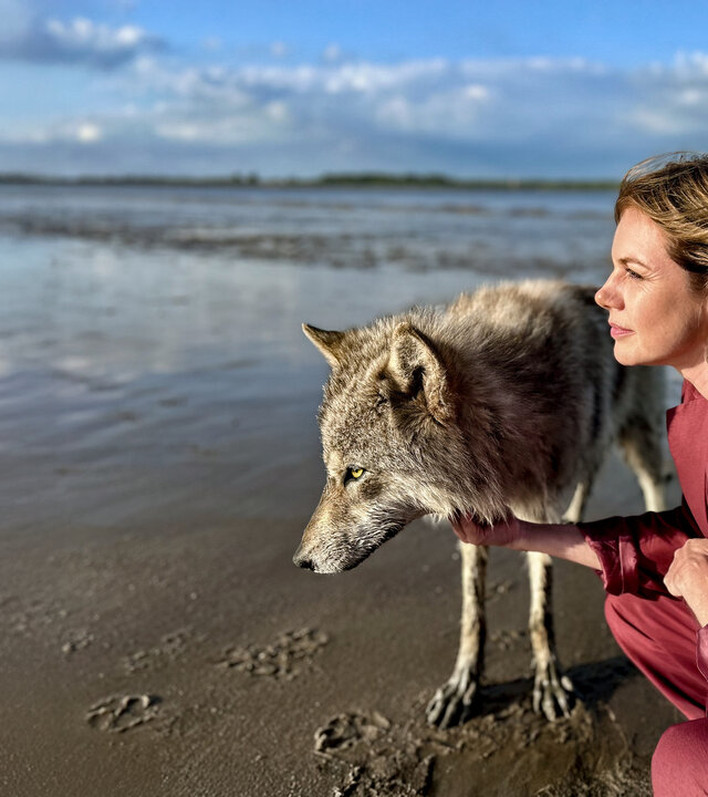 "Neuer Wind im Alten Land - Der Wolf": Beke (Felicitas Woll) sitzt am Elbstrand in der Hocke neben einem Wolf, den sie streichelt.
