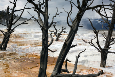 Yellowstone - Feuer und Eis