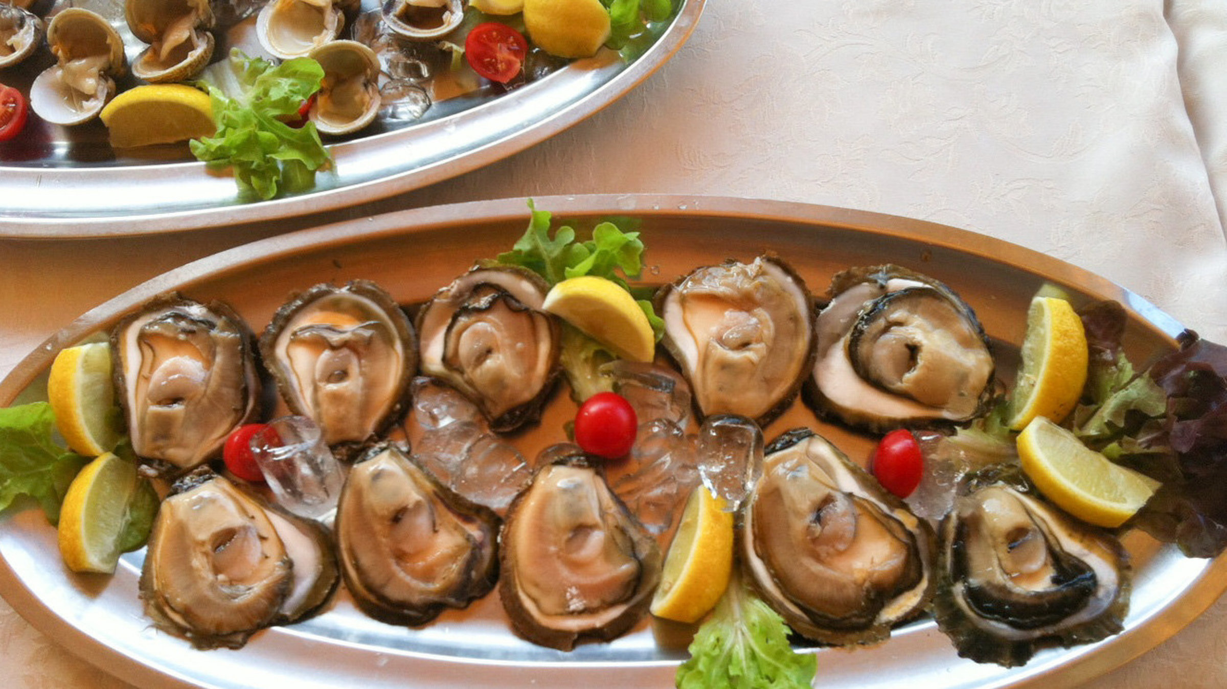 "Der Geschmack Europas - Istrien": Nach der Austernernte.