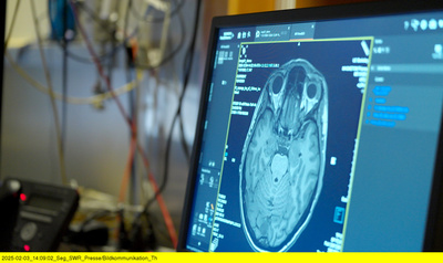 Magic Mushrooms - Zwischen Trip und Therapie