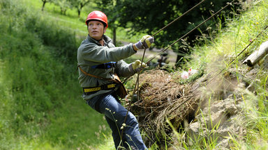 Forsthaus Falkenau - Zwischen Den Stühlen