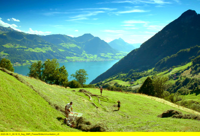 Der Vierwaldstättersee - Blaues Juwel der Schweiz