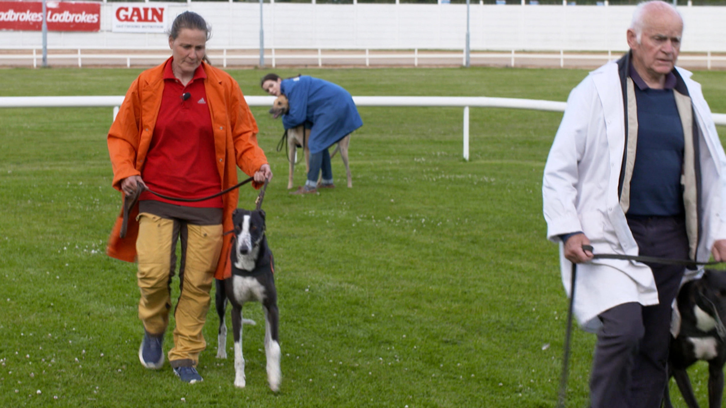 "Glück ist ein schneller Hund": Béatrice Steiner am größten Windhundrennen Irlands. Hier zeigt sich, ob auch eine Frau und Ausländerin einen Windhund zum Champion trainieren kann.