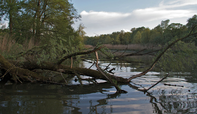 Inn - Der grüne Fluss aus den Alpen