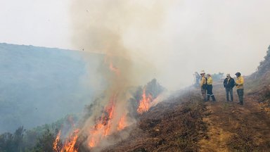 Plan B - Plan B: Sos Dürre-alarm