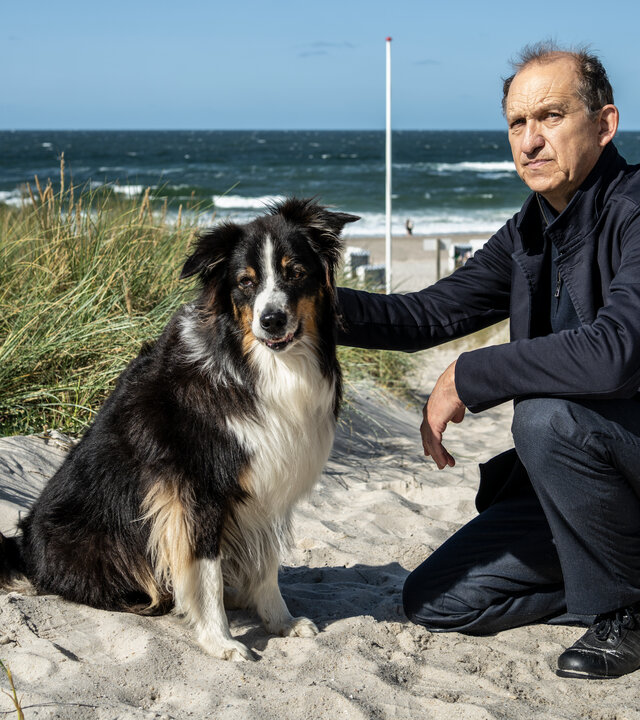 "Nord Nord Mord - Sievers und der verlorene Hund": Carl Sievers (Peter Heinrich Brix) kniet neben einem Australian Shepherd im Sand. Mit seiner rechten Hand streichelt er den Hund, während sein Blick nach vorne geht. Im Hintergrund sind das Gras der Dünen, sowie der Strand und das Meer zu sehen.