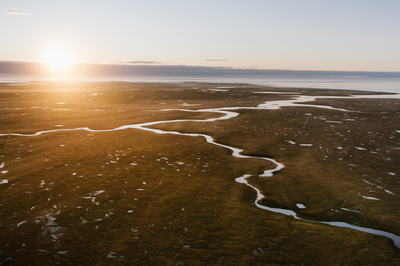 Eisige Welten II: Taiga und Tundra