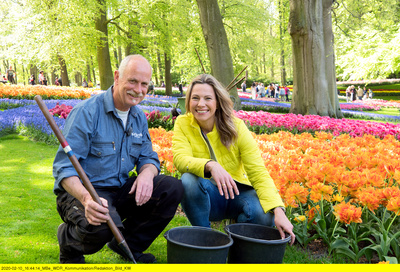 Romantisches Holland - Zwischen Tulpenpracht und<br/>Königskrone