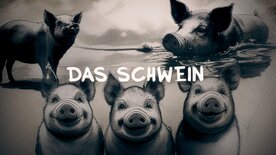 Fabelhafte Artgenossen - Das Schwein