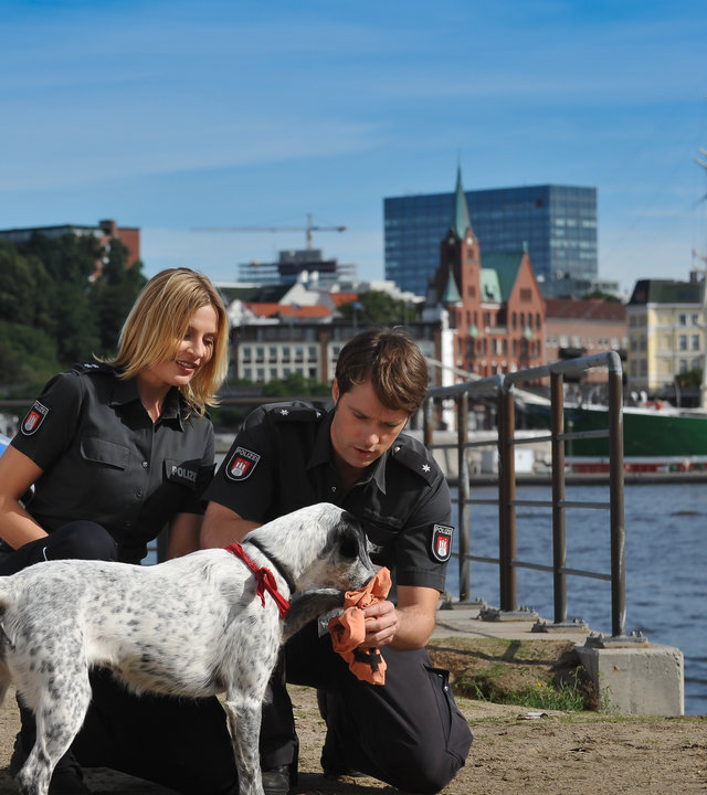 "Notruf Hafenkante - Freiwild": Melanie Hansen (Sanna Englund) und Mattes Seeler (Matthias Schloo) knien neben einem Hund am Hafen. Mattes hält etwas in der Hand, an dem der Hund riecht.