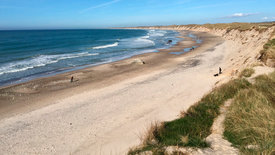 mare tv: Die dänische Nordseeküste