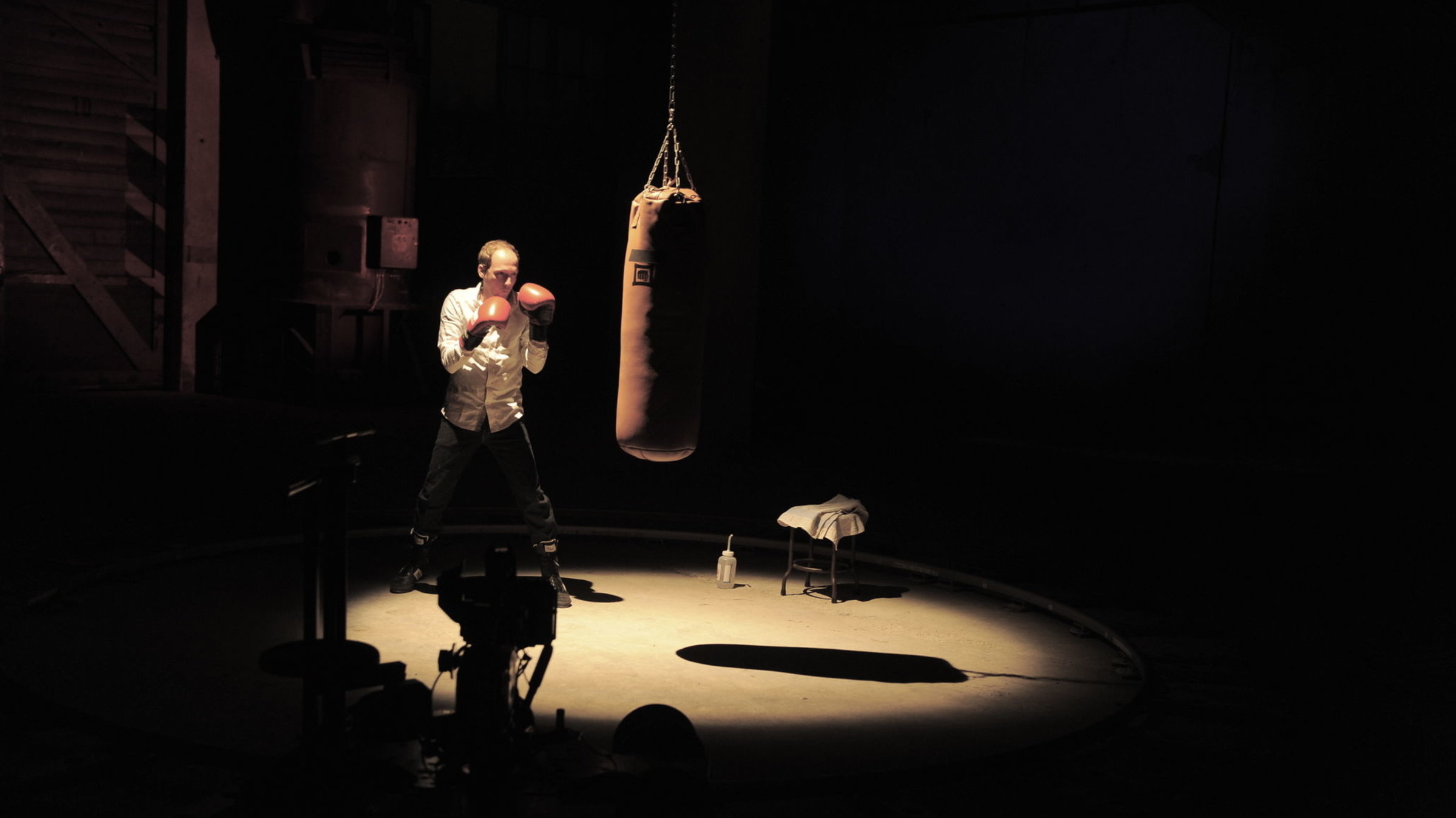 "Gefühlswelten": ein Boxer