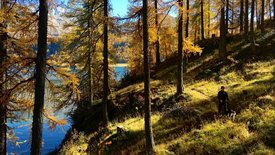 Traumseen der Schweiz: Herbstgeschichten<br/>am Wasser