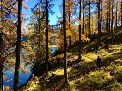 Traumseen der Schweiz: Sommergeschichten am Wasser
