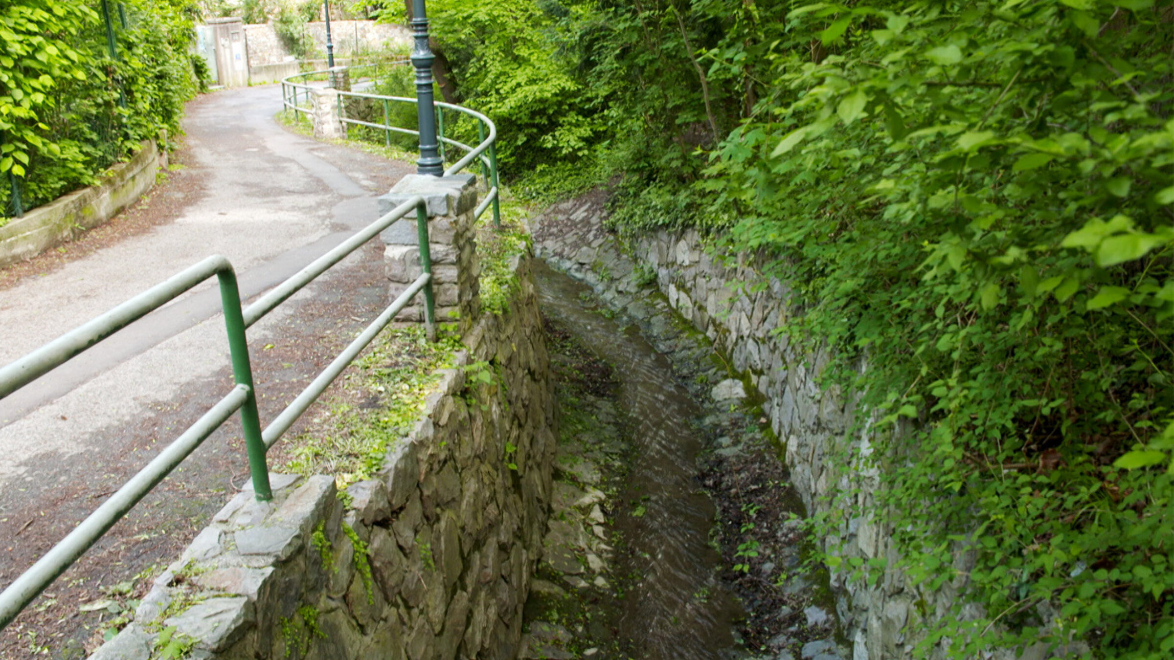 "Wiens verborgene Bäche": Wienerwaldbach.