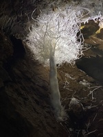 Faszination Erde - mit Dirk Steffens