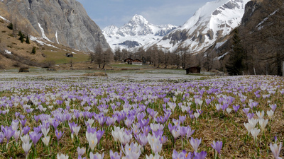 Sinfonie der Alpenseen