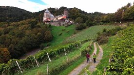 Ein Stück Österreich: Vom Gletscher zum Wein (2/2)