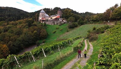 Ein Stück Österreich: Vom Gletscher zum Wein (2/2)